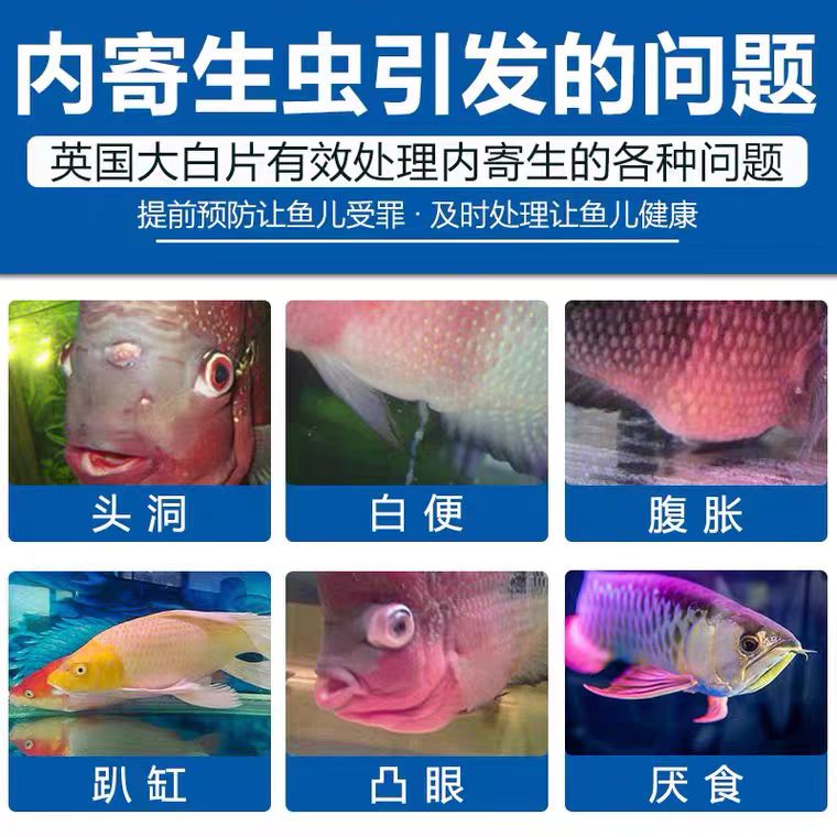 cf754954af83bcd239f5155cce4a5a32.jpg